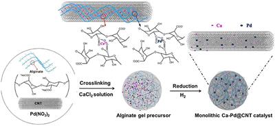 Palladium Supported on Calcium Decorated Carbon Nanotube Hybrids for Chemoselective Hydrogenation of Cinnamaldehyde